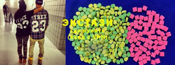 ECSTASY Богданович